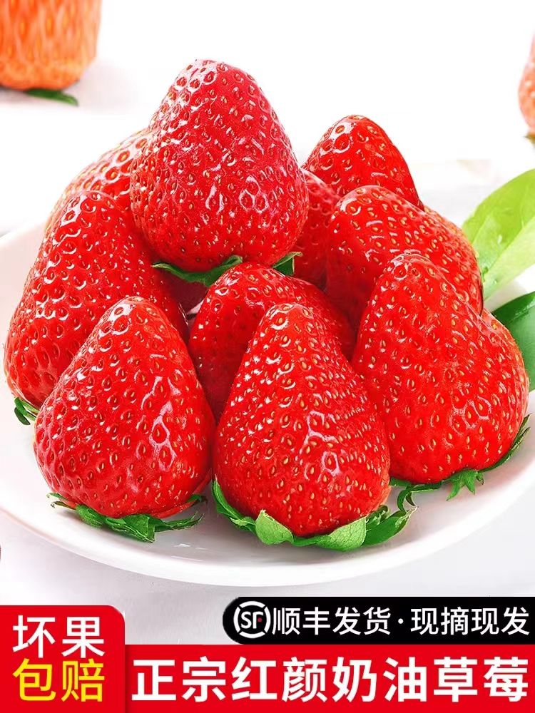 豫东农产品特产