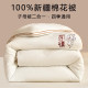 Xinjiang Pure Cotton Quilt, Two-In-One Zippered Style, Thickened Winter Quilt, Spring and Autumn Quilt, Cotton Quilt Core, Suitable for All Seasons