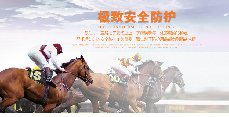 Article sports equestres - Ref 1381034 Image 10