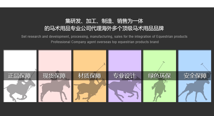 Article sports equestres - Ref 1381484 Image 19