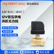 Electric ball valve solenoid valve water valve water level control switch water leakage alarm automatic water shut 12V all copper valve