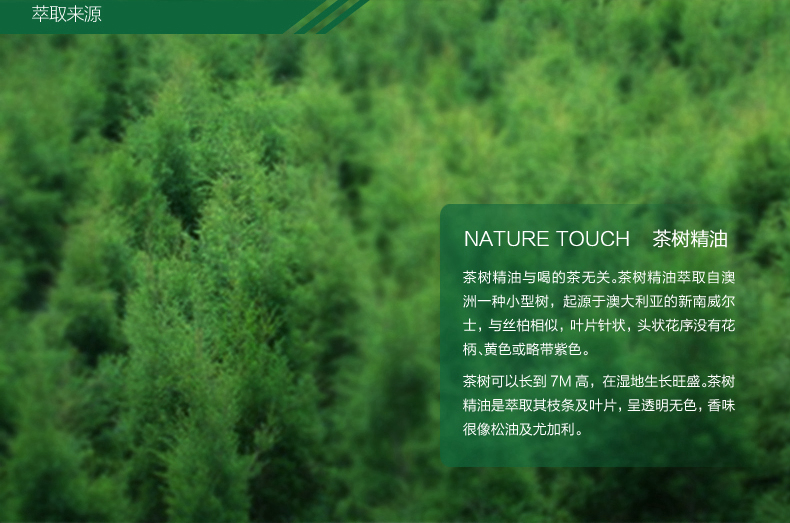 Youjiali Tea Tree Oil 10ml Freshing Control Control Skin Cleansing Essential Oil Australia Tea Tree Oil Chăm sóc da Tinh dầu - Tinh dầu điều trị tinh dầu cà phê