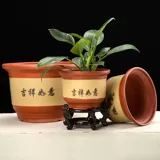 Керамический большой цветочный горшок для домашнего использования, орхидея