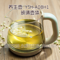 Bear health pot accessories YSH-A08H1 Glass pot body Glass pot body Glass container (without cover)