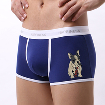 Bullfighting Fashion Cartoon Trendy Personality Mens Underwear Pure Cotton Man Style Flat Angle Pants Four Corner Pants