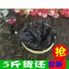 Wu Mei strip Nine-system plum meat strips seedless plum strips Wu Mei meat dried preserved fruit leisure food 5 pounds