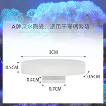 Coral base broken support amputated limb seat sps button broken branch base cornerstone lps broken branch frame breeding bracket ceramic