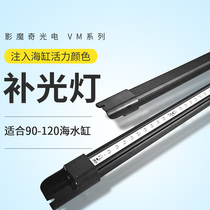 Shadow Magic Tonic Light Sea Water Cylinder Blue Light Tonic Light Lamp With Color Increased Coral Ornamental Fish Vat Seawater Fish Full Spectrum Lamp