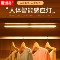 Small night lamp household aisle lighting lighting cabinet cabinet long strip wireless charging cabinet lamp