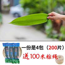 Zong leaves bag zongcotyledon fresh farmhouse wild big rice dumpling leaves 200 vacuum packaging delivery line