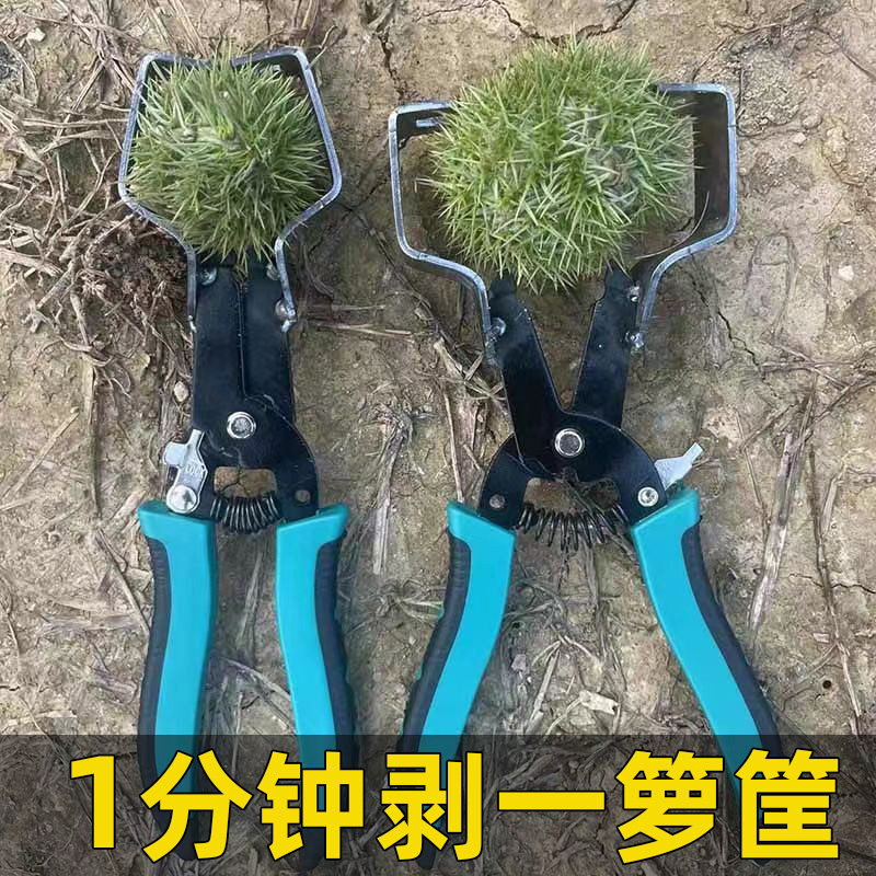 剥板栗刺球神器工具拨扒外壳开脱夹剥壳器扎栗子脱蓬机毛球开口器
