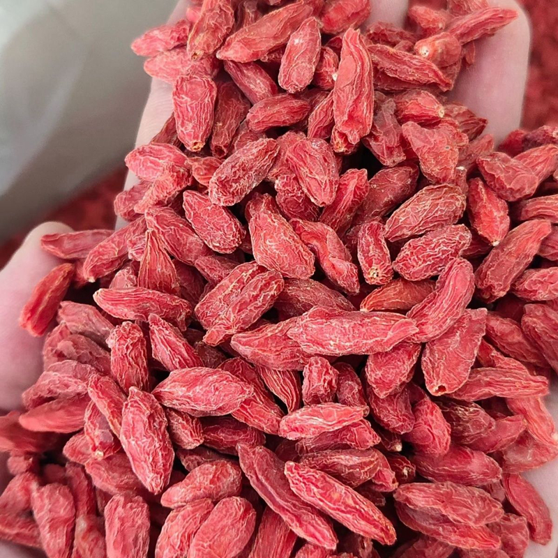 Zhongning wolfberry Chinese herbal medicine 250g selected special-grade sulfur-free large wolfberry granules traditional nourishing nutrition full