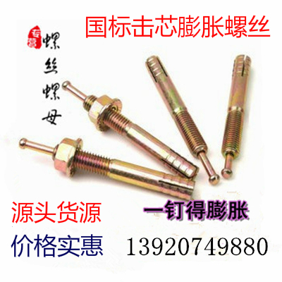 Core expansion screw One nail percussion expansion screw lift expansion hammer gecko M6M8M10M12