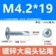 M4.2*19 (100) с пакетной головкой