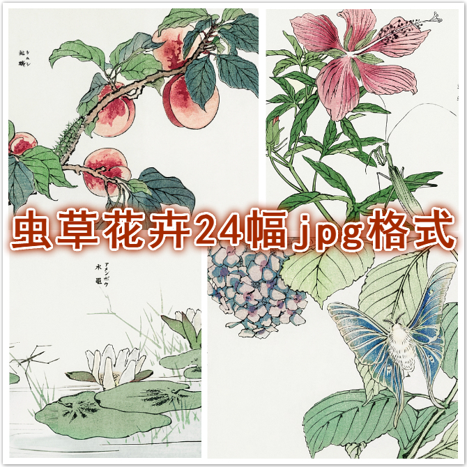 A99-Morimoto Toko绘虫草花卉图1910年浮世绘高清电子图库素材