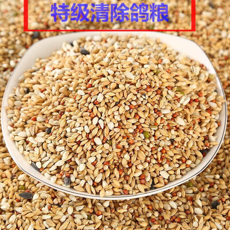 10 catfish for pigeon food clearing feed letter dove swap for the special young pigeon meat dove viewing dove no corn bird food