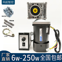 Micro AC deceleration gear optical axis speed regulating motor 220V40W-250WNMRV40 worm reducer