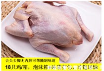  Whole chicken 18 suit chicken Grilled chicken(500-600g)Frozen boy chicken crispy chicken burger Milk tea shop