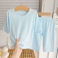 Baby Blue Class A Class A Dethable Chotcont