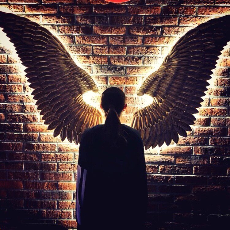 Industrial Wind Iron Art Bar Wings Decoration Hotel Barbecue Pendant Mesh Red Background Wall Face Creative Wings Milk Tea