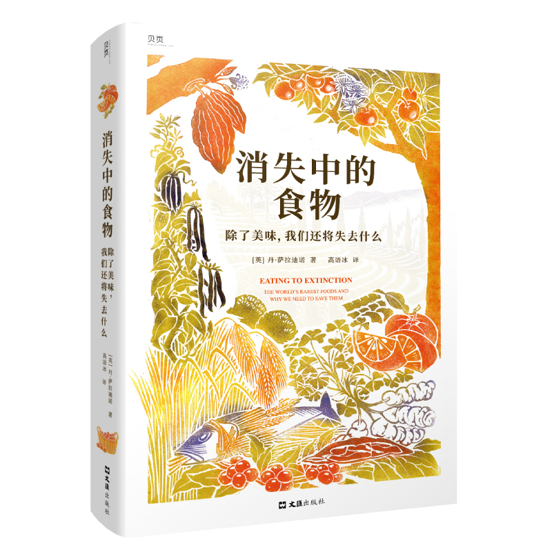 福克斯群岛地震：太平洋火山带的又一次警钟，普通人如何应对？
