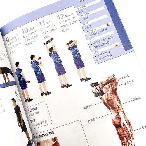 Руководство по силе и физическому обучению мышечная сила и скорость координация выносливости чувствительные к спортивному качеству учебные учебники