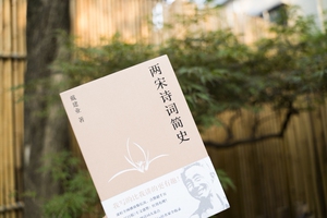 正版 两宋诗词简史 戴建业著 文学诗词古代古典诗歌史通俗易懂靠谱的两宋诗词入门基础书籍正版 澄明之境陶渊明新论同作者书