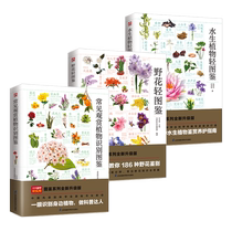 (Total 3 volumes) Aquatic Plants Wild Flowers Illustrated Illustrated Illustrated Identification of Common Ornamental Plants Selected More than 100 Kinds of Aquatic Plants with Detailed Illustrated Explanations from Family and Genus Names to Morphological Characteristics