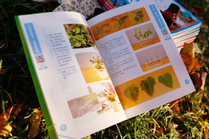 生活物理/小牛顿实验王 科普教育专家审定 接轨科学课 动手动脑 玩转科学 向同学们展示好玩的科学实验 动手操作性强配有144个视频