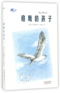 追鹰的孩子 我们和它们系列 保护动物 7-9-12-15岁儿童文学三四五六年级小学生课外书 动物小说 儿童文学教程 暑期 阅读书包邮