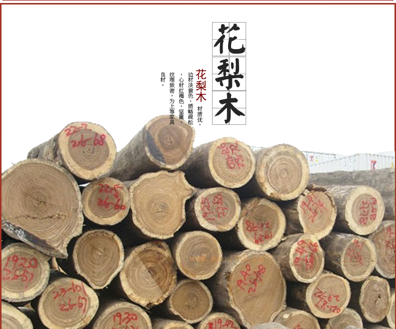 Catal Copy.jpg