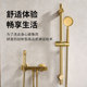 Brushed gold shower shower set for household bathroom full copper simple split bathroom bathroom supercharged bath