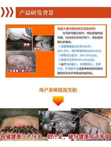 SOW FEED ADDITICE NUTITION SOW PRE -MIXTURE BACKUP, БЕРЕМЕННАЯ ГРЕСТА, КОГДА