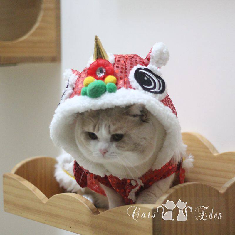 Spring Festival Festive Pets Cat Puppies Dance Lion Clothes Cotton Clothes Don Cat Dogs New Year Costumes for New Year's Eve