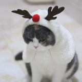 Рождественский плащ, шапка, воротник, накидка, милый аксессуар