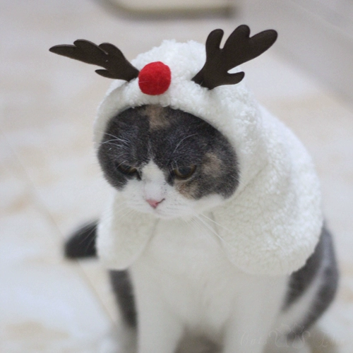 Рождественский плащ, шапка, воротник, накидка, милый аксессуар