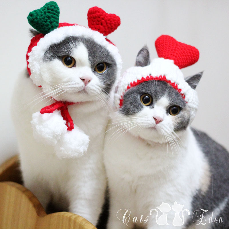 Pet Kitty New Valentine's Day Loving Hat Hair Line Handknitted Cat Cat 7 New Year's Eve Costume Cap-Taobao