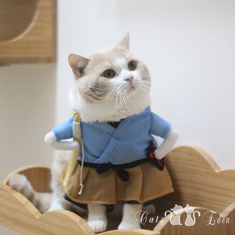 Urashima Taro Momotaro Cat upright transformation costume funny pet dog clothes personality
