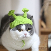 Pet Internet Celebrity Funny Cat Shrek Hat Handmade Wool Knitted Headwear Green Transformation Costume Photoshoot