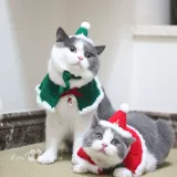 Шапка, шарф, накидка, плащ, милый комплект, наряжаться