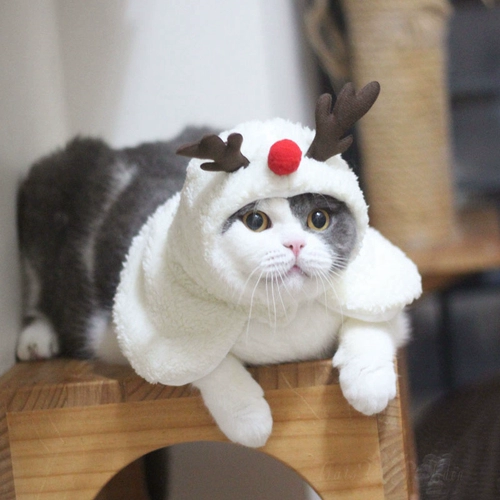 Рождественский плащ, шапка, воротник, накидка, милый аксессуар