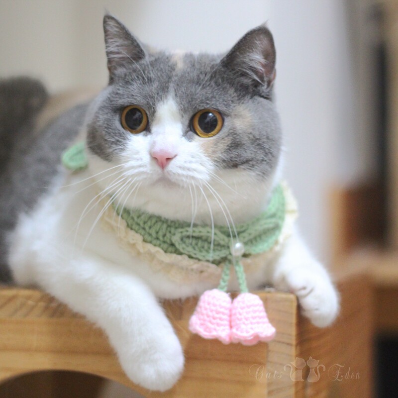 Hair line Handcrafted Cat Items Ring Retro Wind Bells Floral Collar Knot Hanging Accessories Pets Cute Neck Spring Summer New Products-Taobao