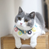 Красочный чокер, шерстяной фальшивый воротник ручной работы, шарф, слюнявчик, милый нагрудник