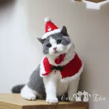 Шапка, шарф, накидка, плащ, милый комплект, наряжаться