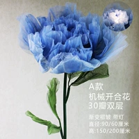 Модель Blu -Ray автоматическое открытие и закрытие 60 см.