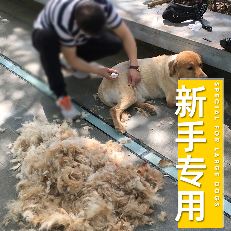Pet Shaver Large Dog Electric Cut to Golden Mao Teddy Cat Shave Cut Dog Hairy Clothes Own Cut