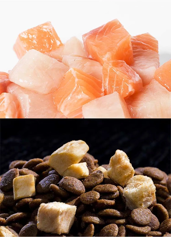 pidan full-price full-price Thức ăn cho mèo thức ăn cho mèo 1.2KG Thức ăn dinh dưỡng cho mèo với thức ăn chính cho mèo đông khô - Cat Staples