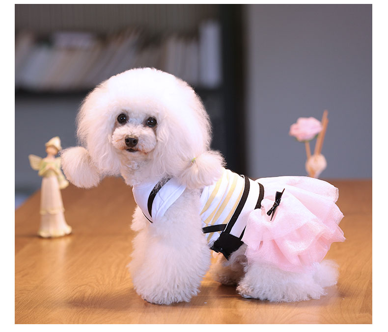 Puppy dog ​​quần áo công chúa fluffy váy Teddy gấu Xiong Bomei con chó Yorkshire mùa hè đầm mỏng thú cưng quần áo - Quần áo & phụ kiện thú cưng áo vest cho mèo