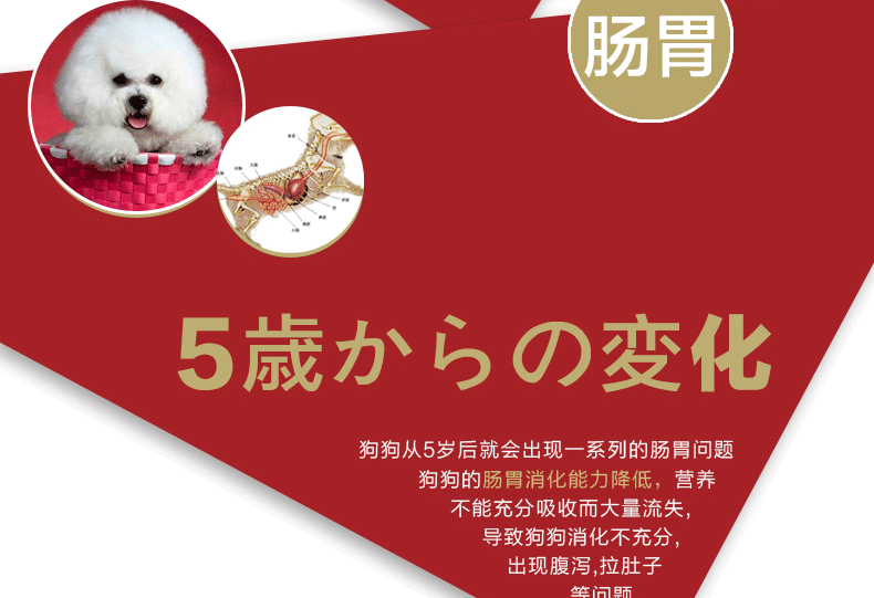 Shenglai biết chó nhỏ, chó già, thức ăn mềm bổ dưỡng, Teddy, tuổi già, chó già, chó già, thức ăn đặc biệt của chó Nhật - Chó Staples thức an cho chó bao 10kg