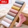 Vớ nữ ống 8 đôi kẹo màu cotton vớ mùa thu và mùa đông màu rắn nữ vớ Hàn Quốc đại học gió retro ngọt ngào - Vớ bông vớ da quần